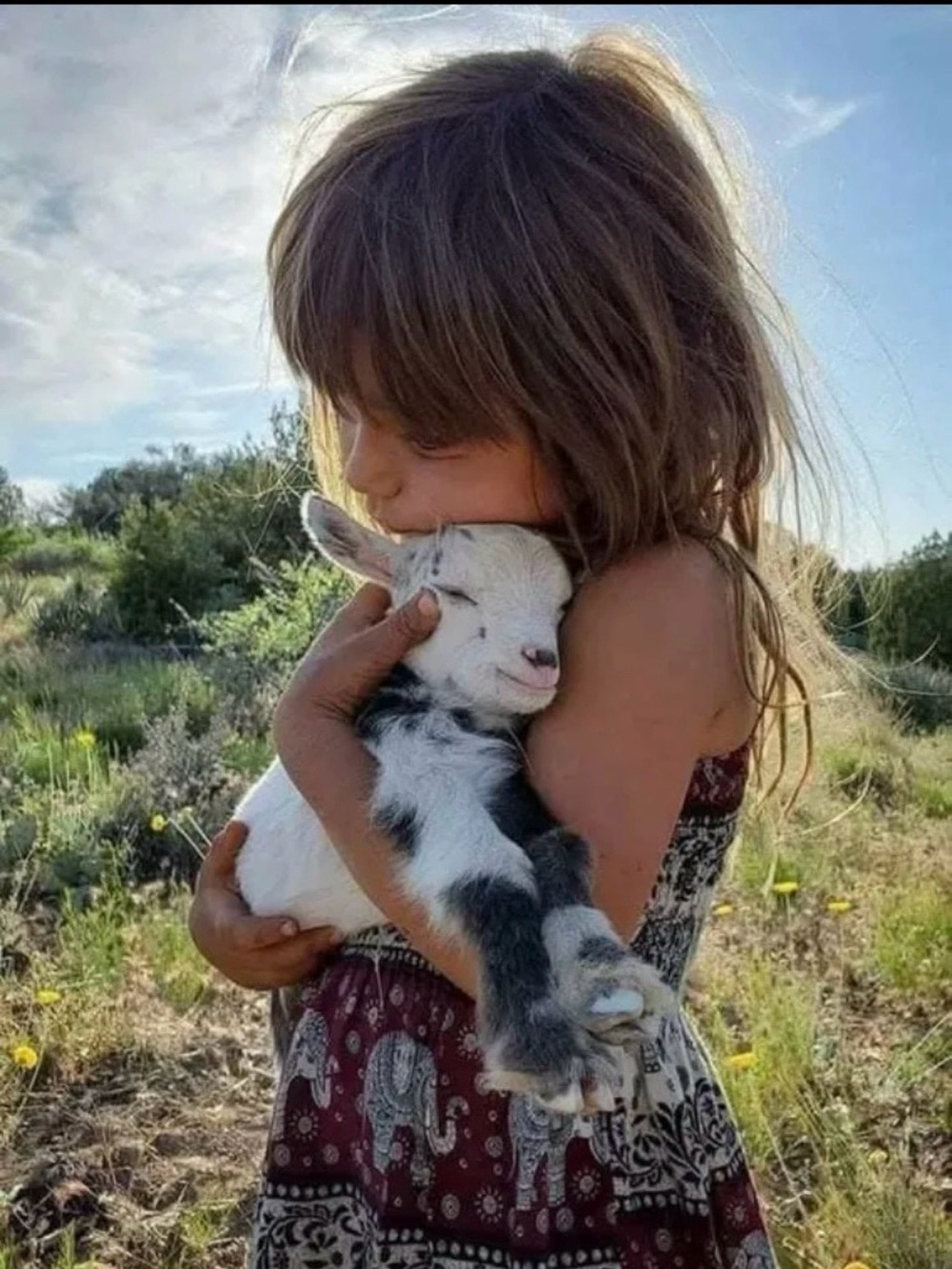 🐕🐻Help Rescue Animals🐬🐖🐑 #STOPAnimalCruelty💔 - Picture 17 of 17